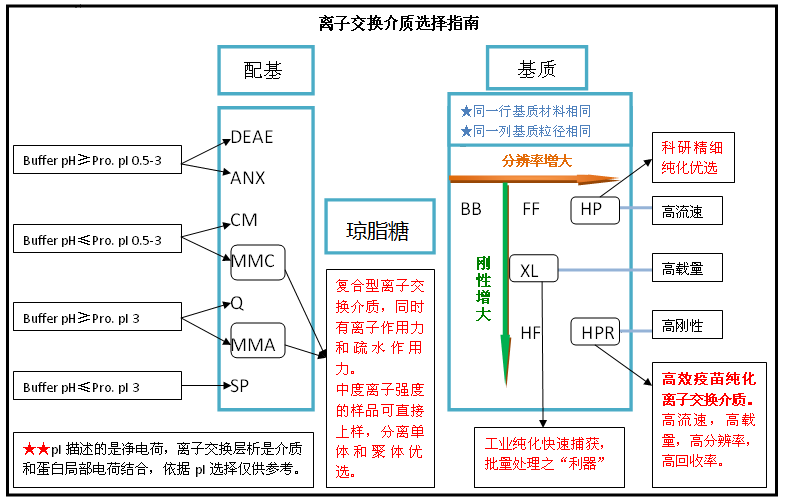 5d400cc3b3846.png A2.png