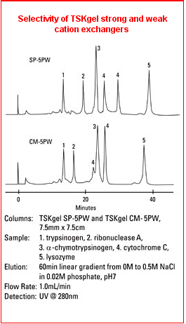 5d4b8ec73a0ab.png A.png