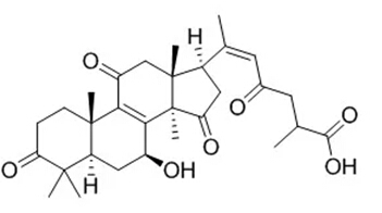 5e23cc9ab2bba.jpg 19.jpg