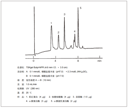 626a2b87185fd.png 222.png